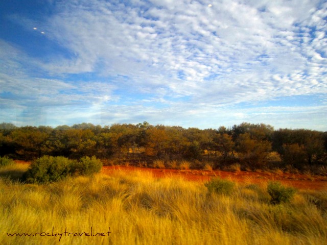 Dramatic_landsacpe_4