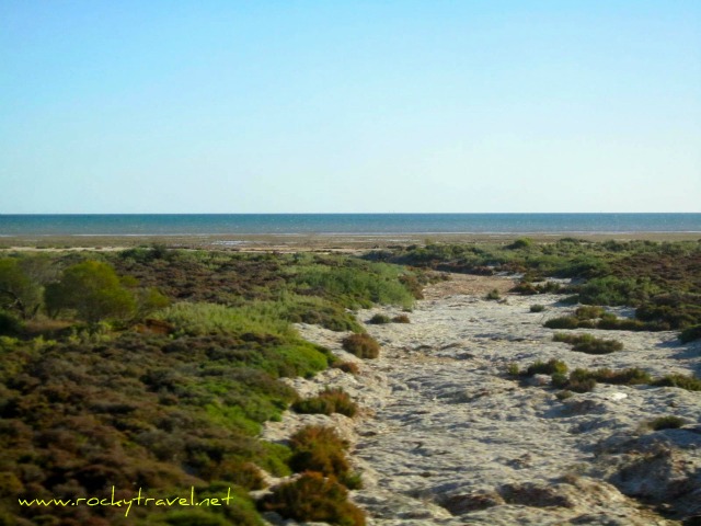 crossing_the_lake_in_the_outback