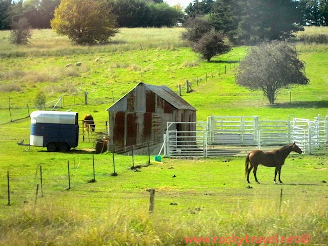 Farm farmhorse