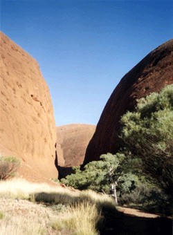 redcentre2