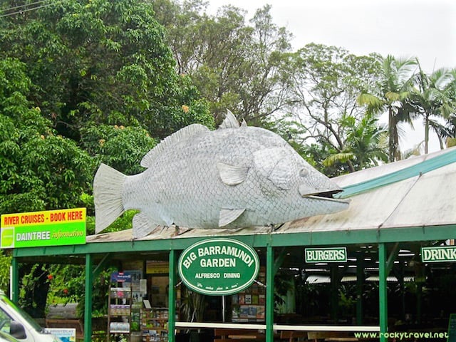 Big Barramundi Daintree Forest