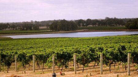 Margaret River Region Things To Do