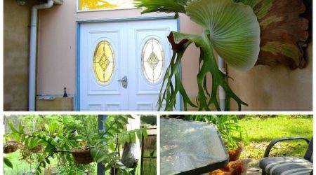 my Airbnb Experiece with a local in Jervis Bay