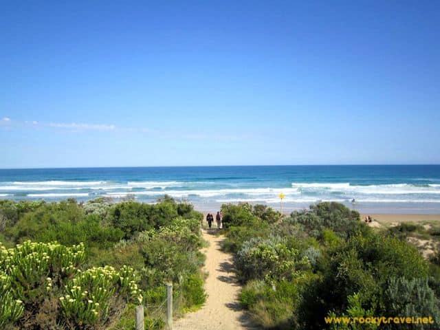 The Great Ocean Road Trip