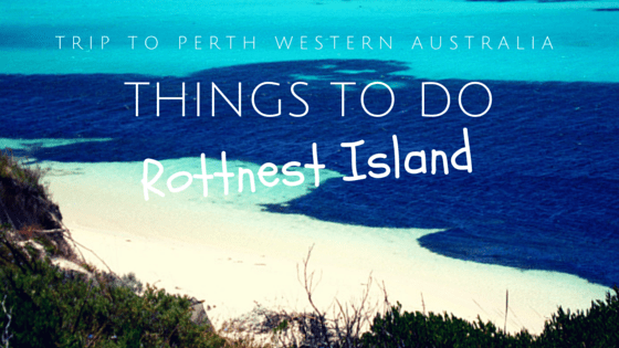 THINGS TO DO on Rottnest Island