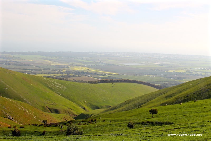 Visiting Mc Laren Vale near Adelaide