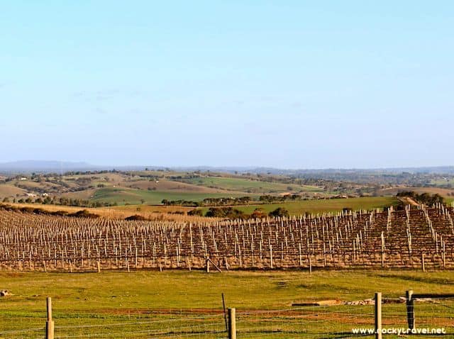 Barossa-Valley-FoodandWineTour