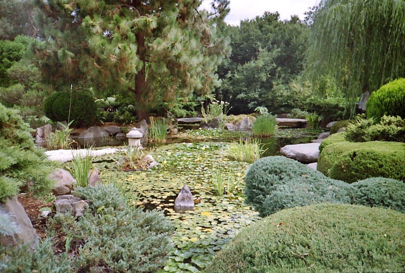Beautiful Himeji Gardens in Adelaide