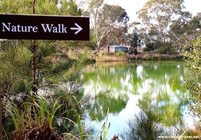 Nature Walk Maggie Beers Farm