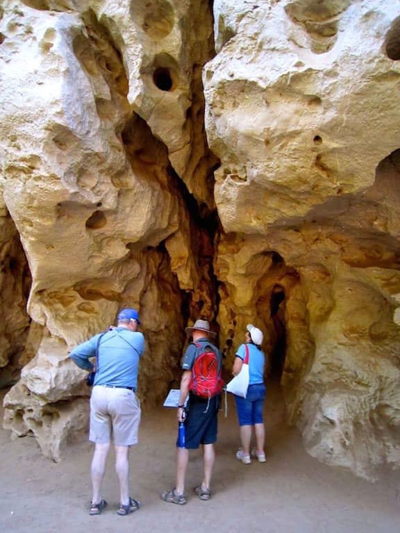 Windjana Gorge Limestone Walls