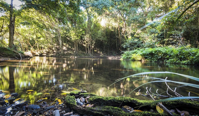 Goomboora Park Cairns