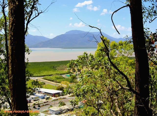 The View from Mt. Whitfield Lookout in Cairns