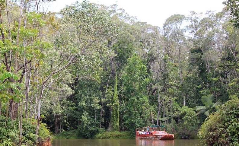 A Boat Tour in the Rainforeststation Nature Park in Kuranda