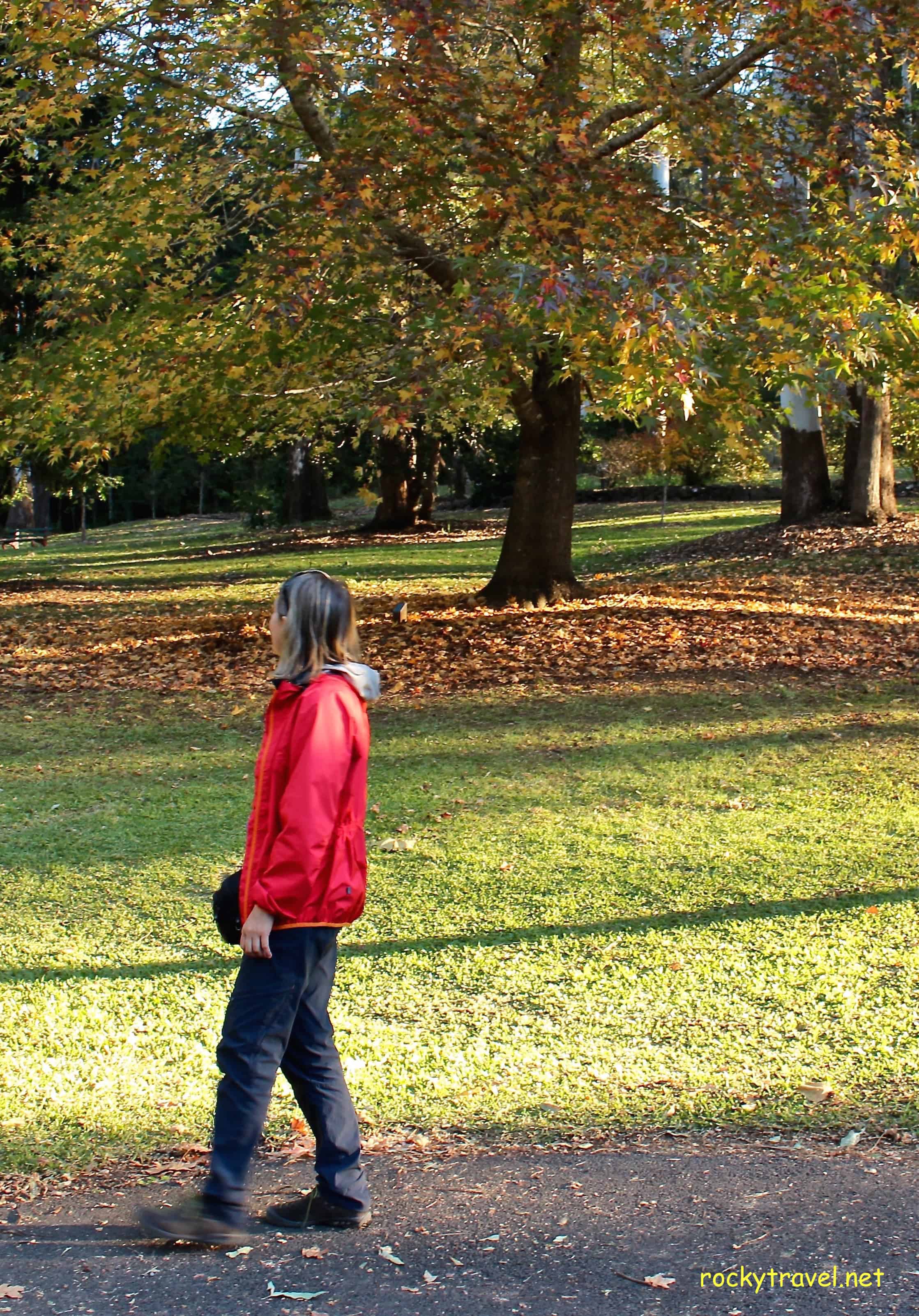 Best Ways to travel Solo Around Australia