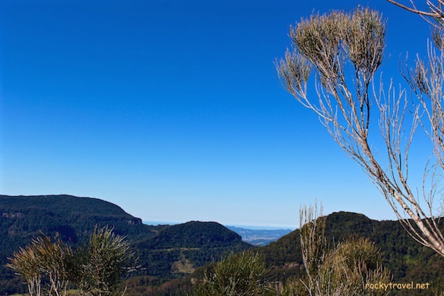 Daves Creek Walk Woggunba Valley Gold Coast