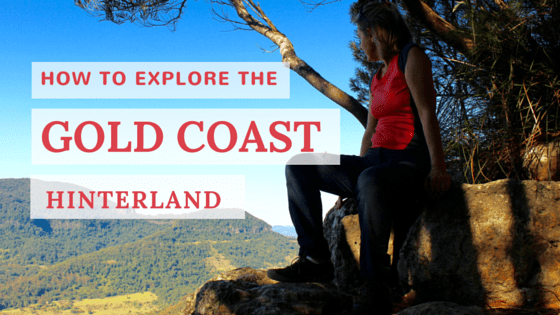 How to Explore the Gold Coast Hinterland on your own