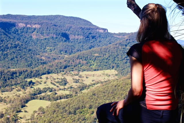 Numinbah Lookout Daves Creek Walk Binna Burra