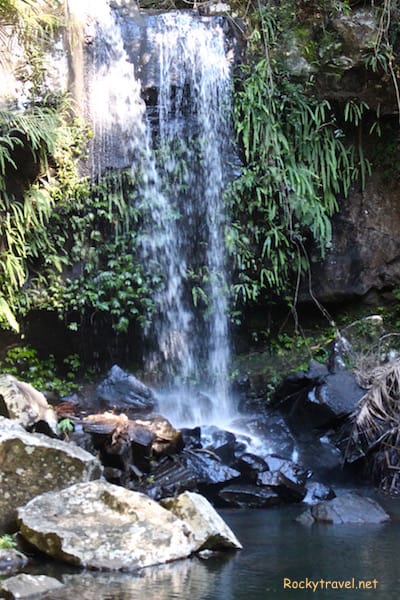 Curtis Falls Tamborine North