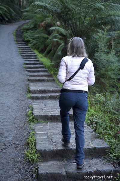 Dandenong Ranges 1000 Steps Track