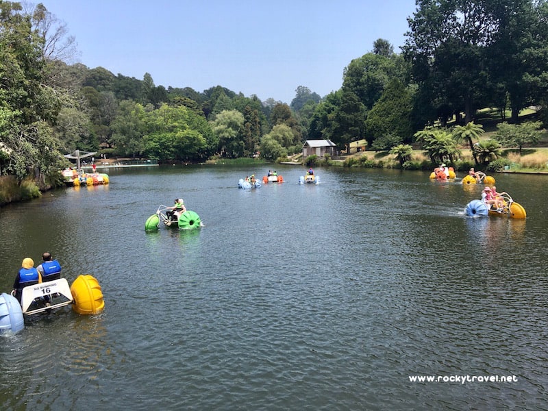Lake Emerald Park in the Dandenong Ranges