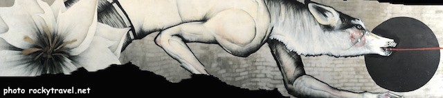 The Wolf Collingwood - Melbourne Street