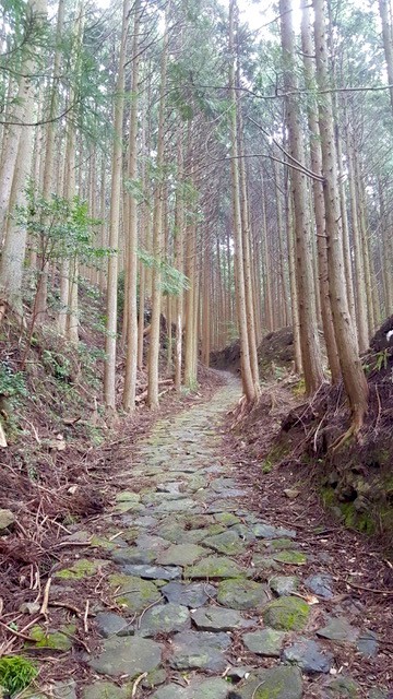 Kumano Kodo Trail Japan