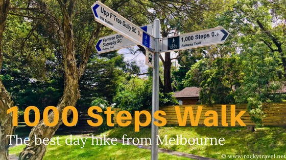 1000 Steps Walk in the Dandenongs - Best Day Hike from Melbourne