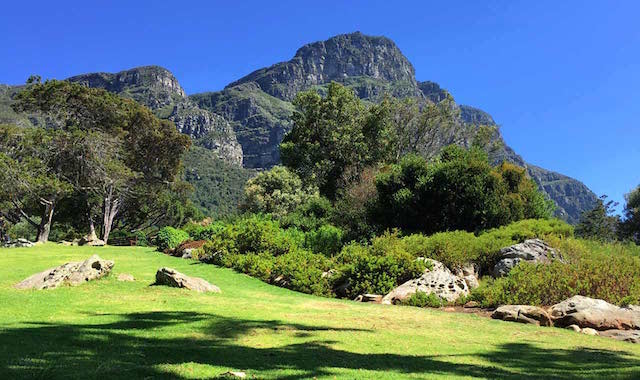 Kirstenbosch-Botanical-Gardens-Hike-Cape-Town