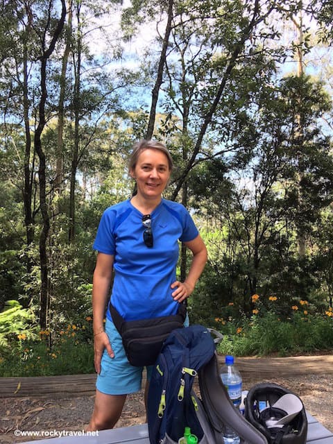 Solo Hiking 1000 Steps Walk Dandenong Ranges