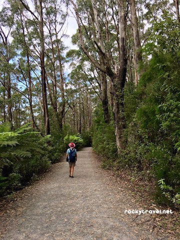 On the Mount Oberon Walk Wilsons Prom