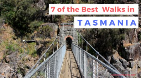 7 Best Walks in Tasmania that you will love