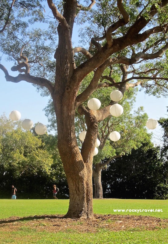 the Bicentennial Park Darwin