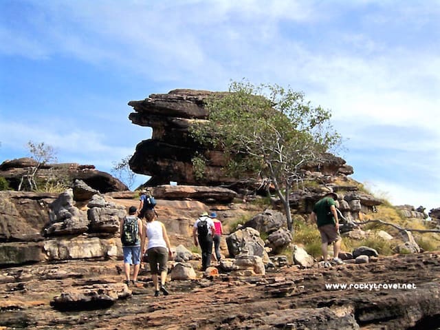 Kakadu Tours from Darwin