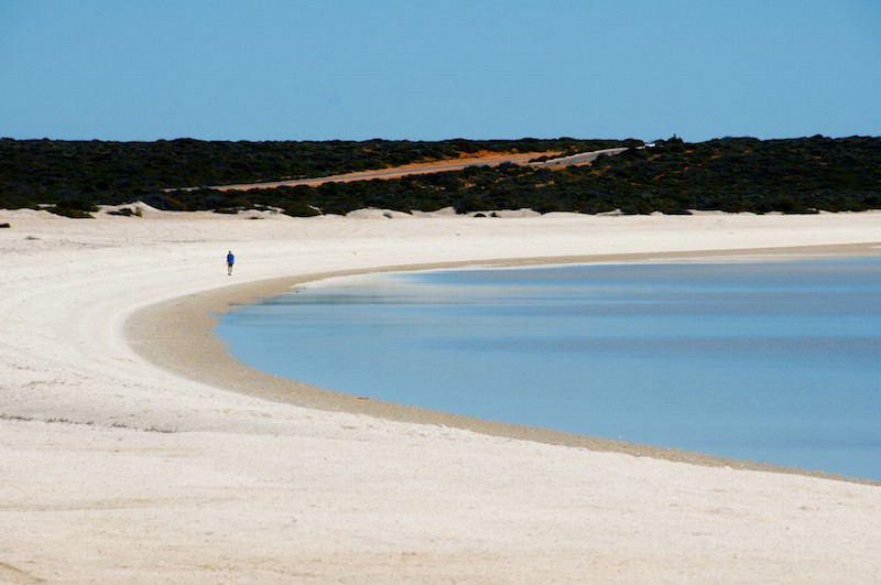 Shell Beach Western Australia