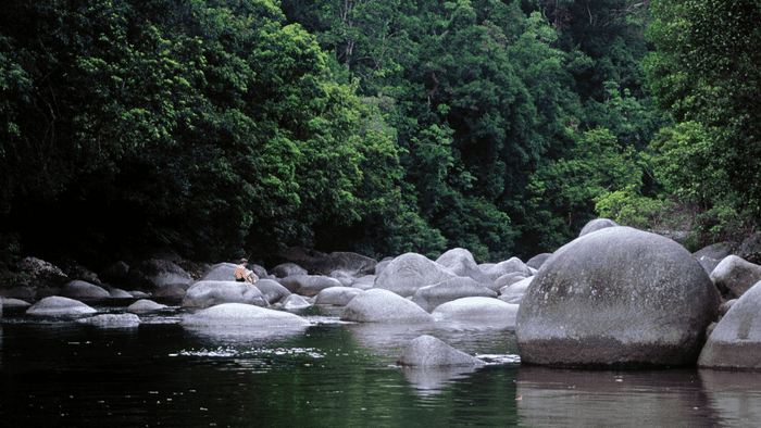 Mossman Gorge Daintree Rainforest