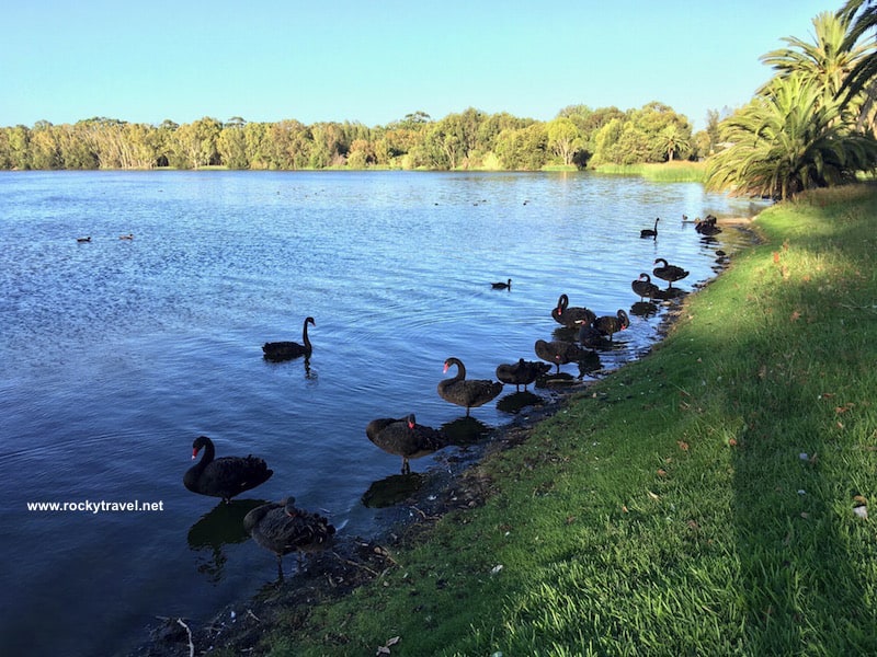 Lake Monger North Perth WA