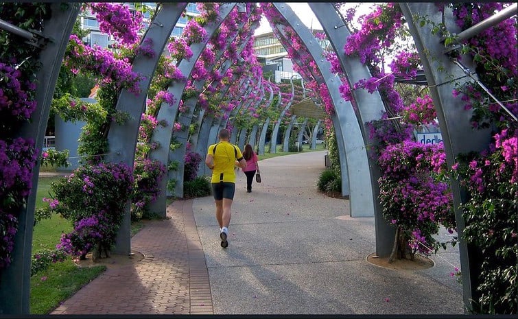 Southbank Harbour Brisbane