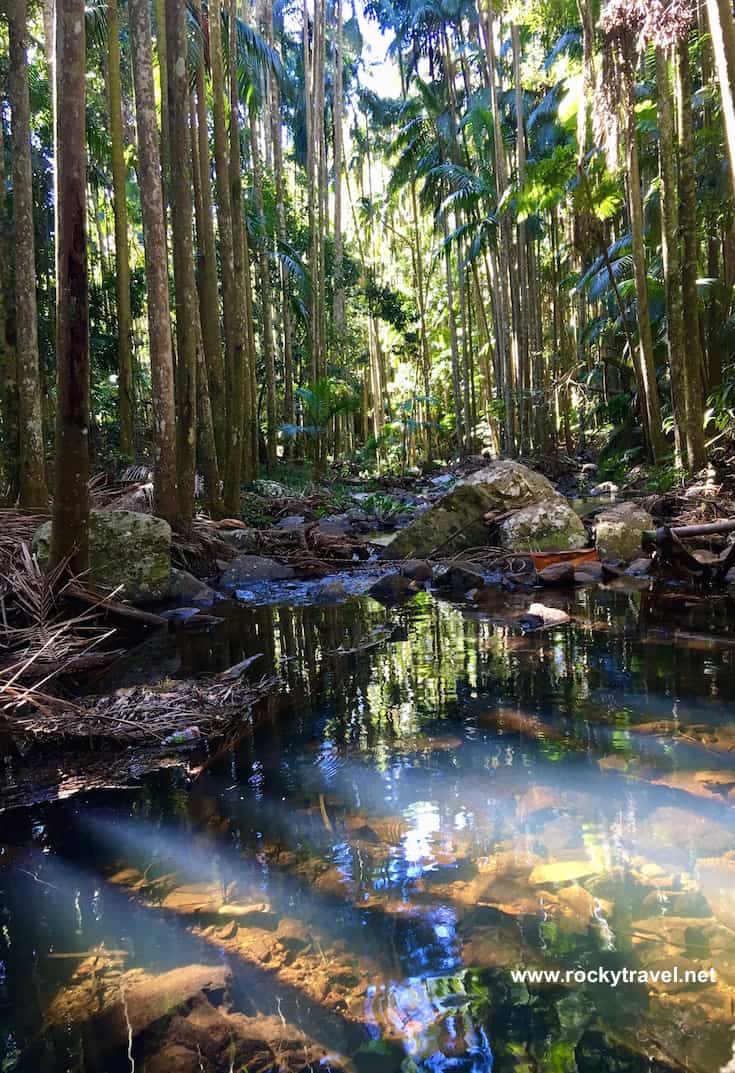 Exploring Tamborine National Pak