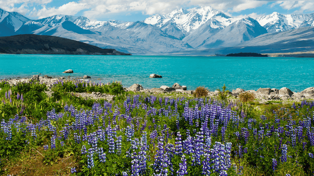 Lake Tekapo South Island New Zealand