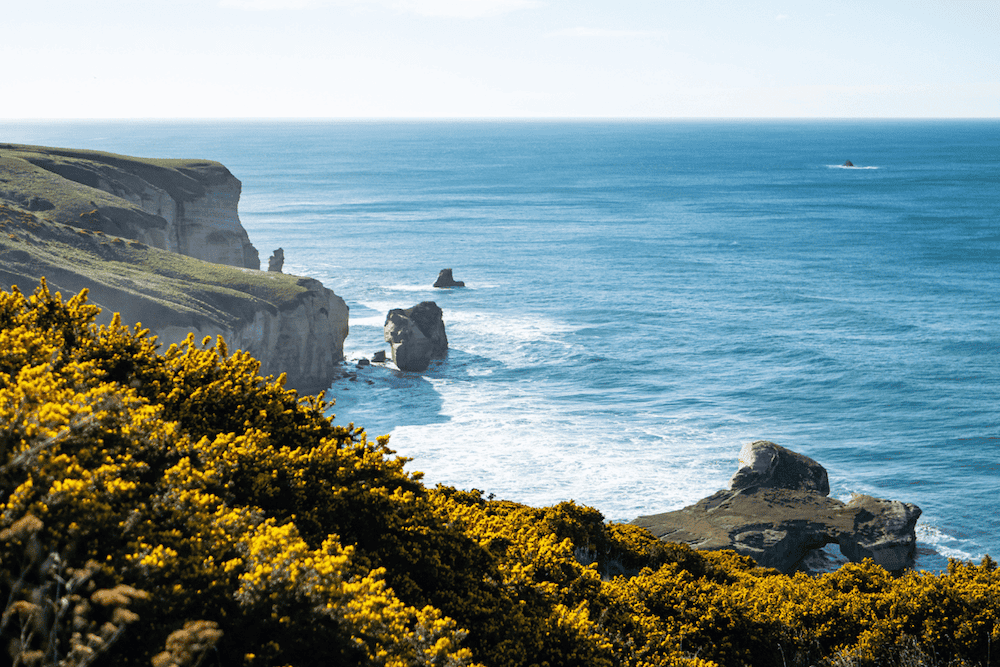 The Marlborough Region in New Zealand