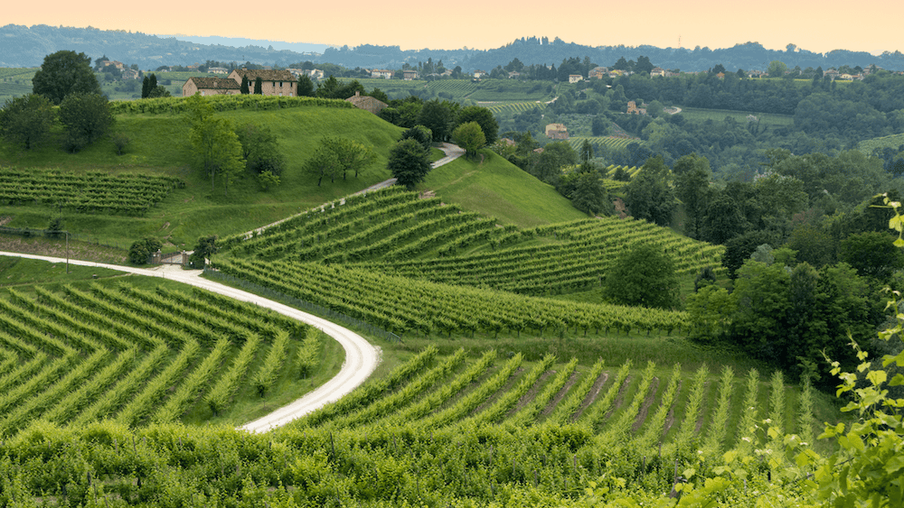 From Venice To The Prosecco Hills Prosecco Hills Conegliano Vittorio Veneto