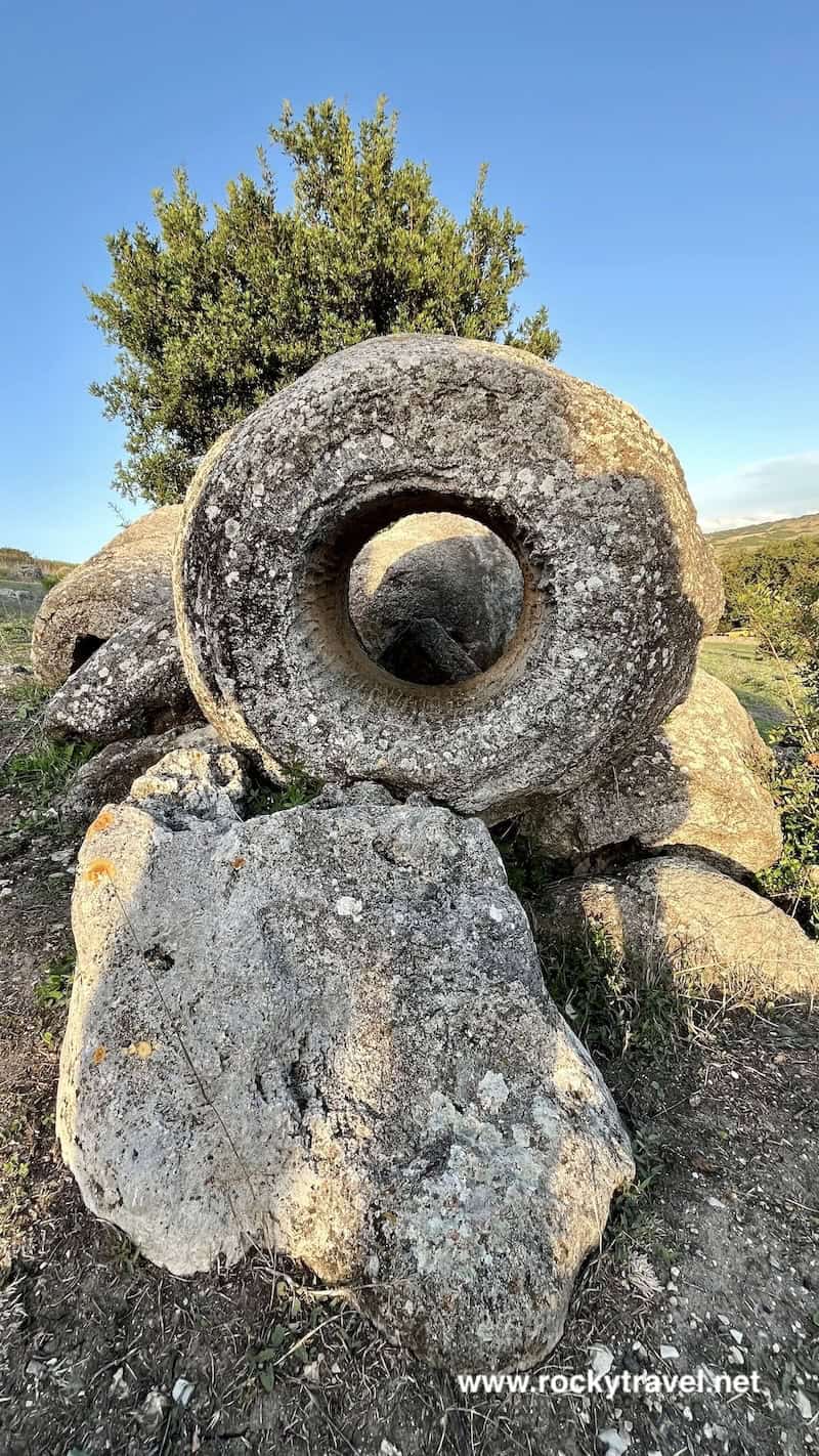 Ancient Fossils of Sardinia Sardinia's Fossils