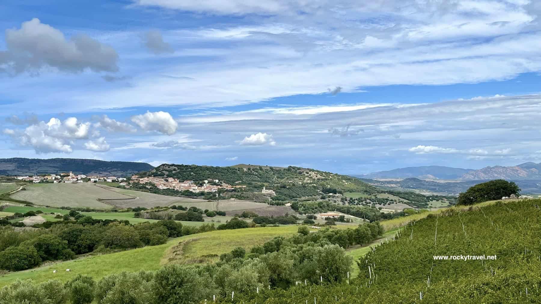 Northern Sardinia Off Beat Places The View from the vineyards