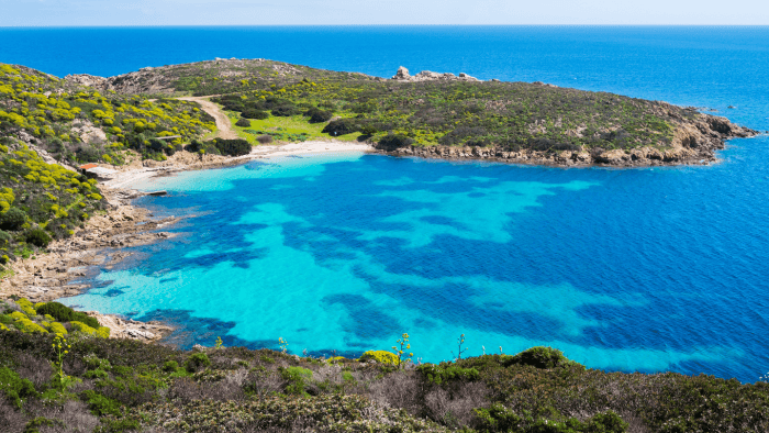 Asinara Island Sardinia Asinara Island Sardinia