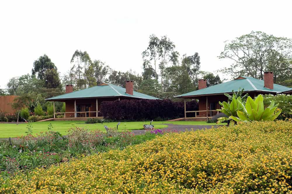 Our Lodge in Ngorongoro National Park