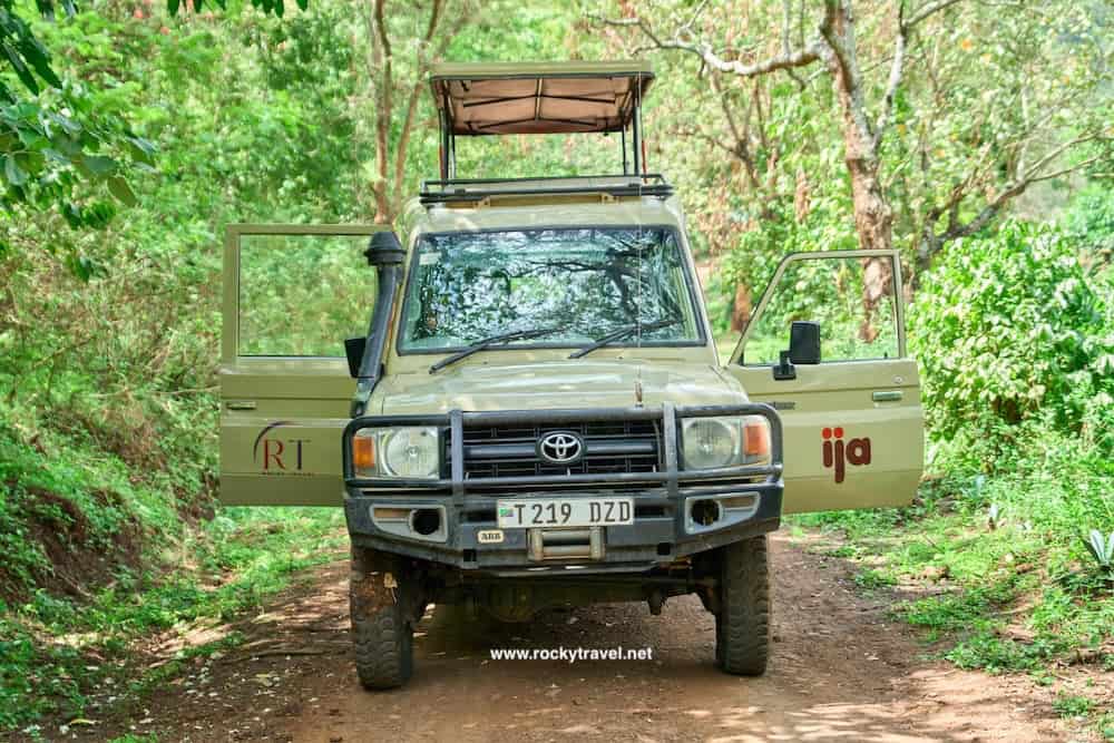 Our Jeeps on Safari Tour Our Jeep on Safari