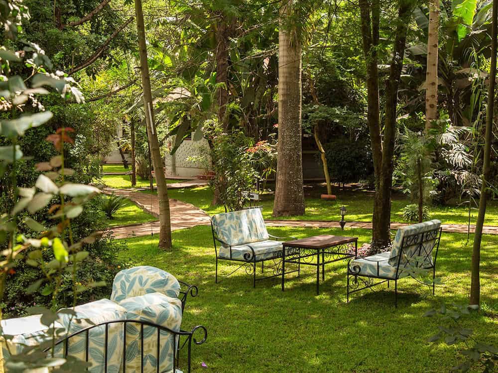 The Garden from our Lodge in Arusha